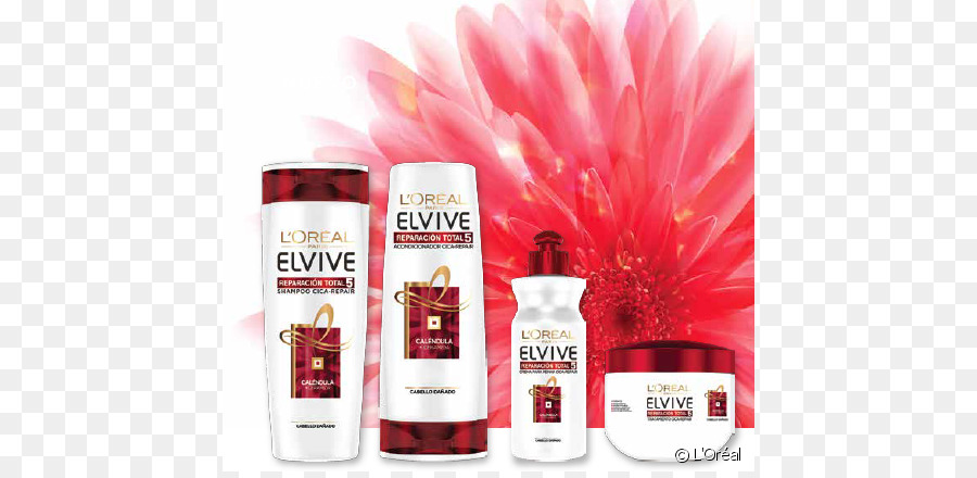 Elvivo，Cabello PNG