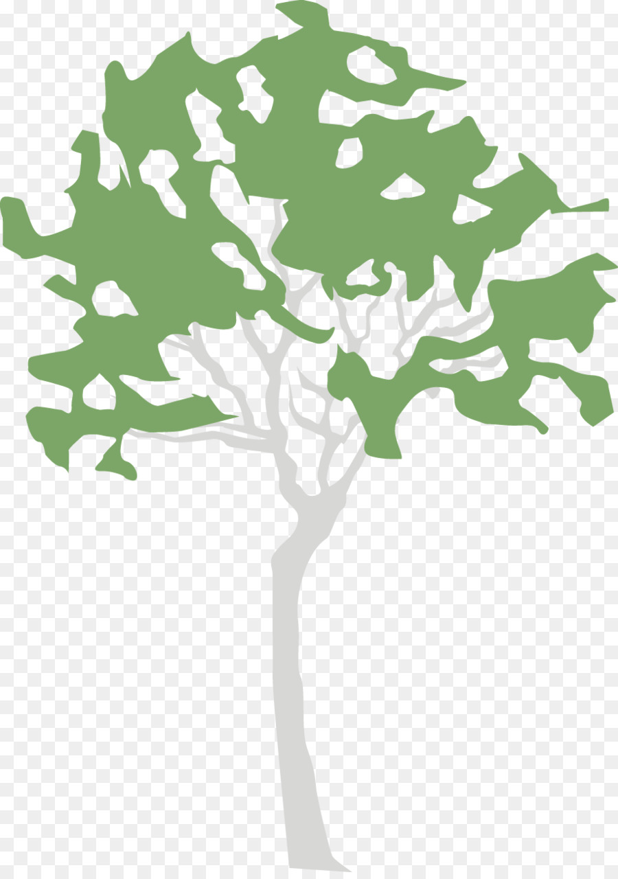 Árbol，Verde PNG