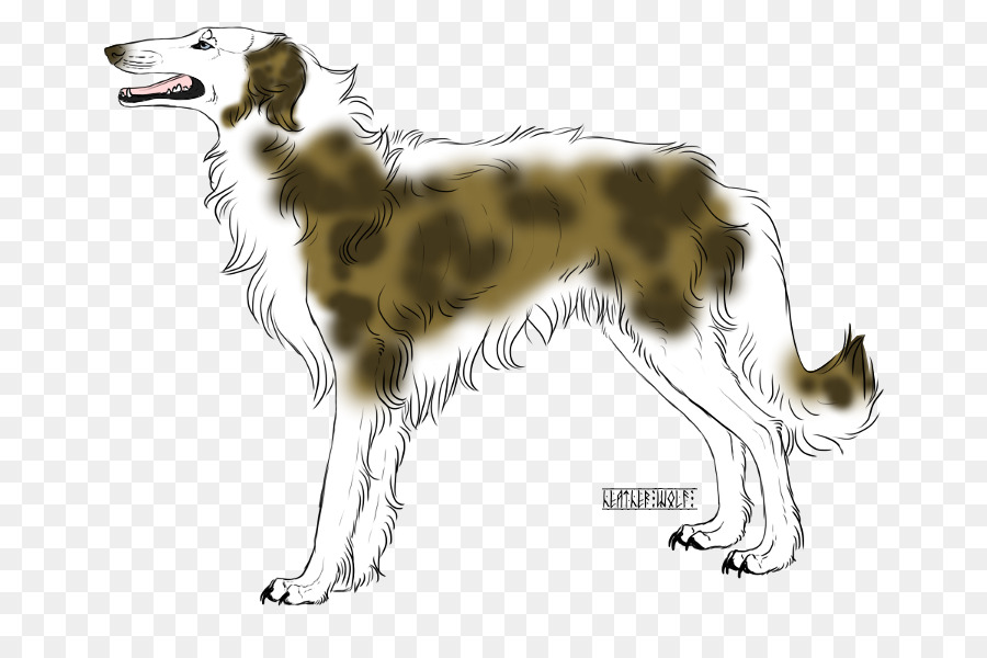 Viento De Seda，Borzoi PNG