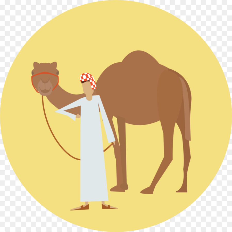 Dromedario，Caballo PNG