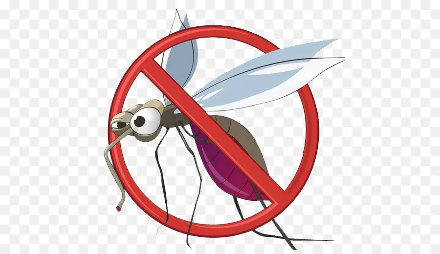 Mosquito，Control De Mosquitos PNG