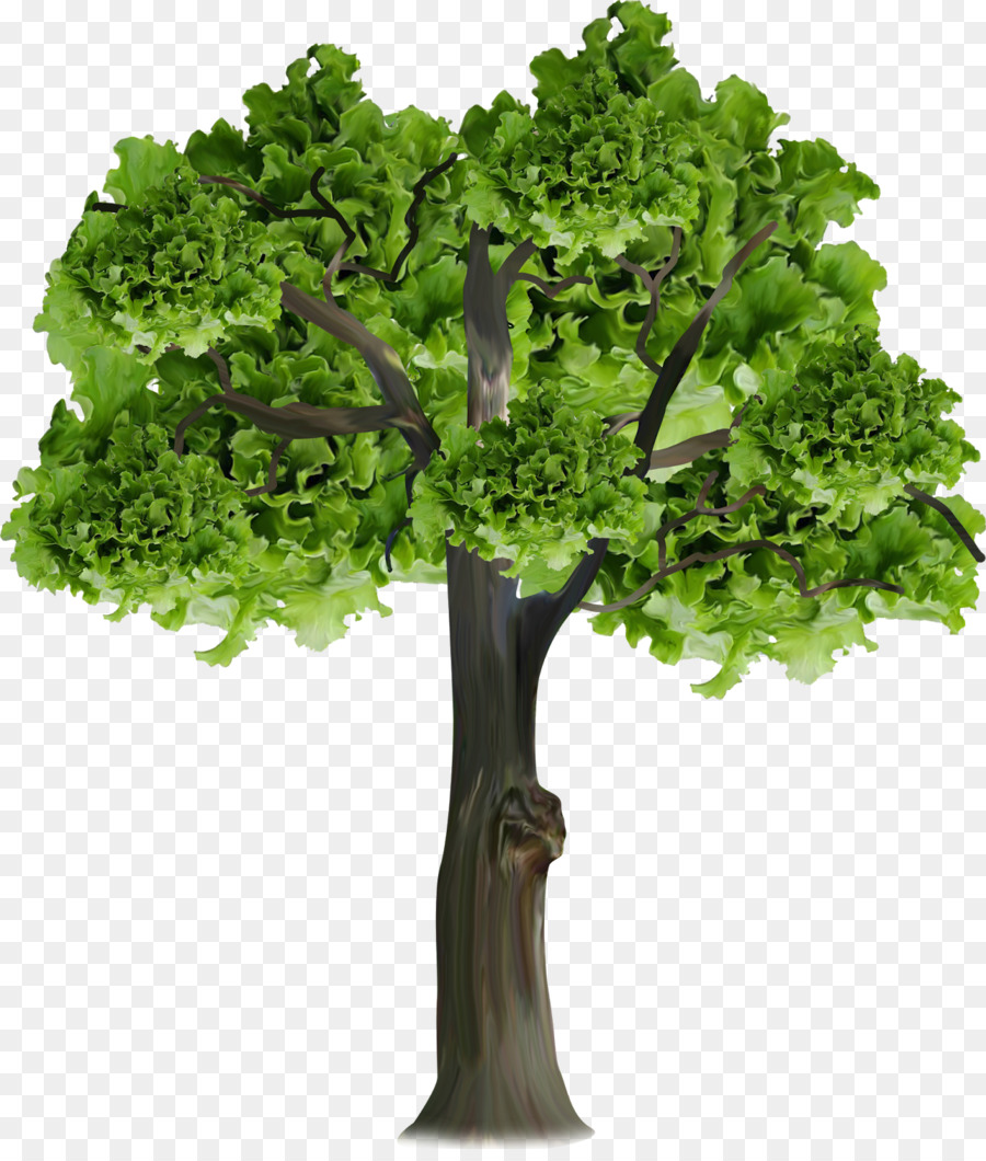 árbol，Rama PNG