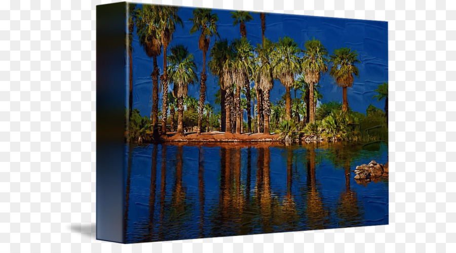 Majorelle Azul，Jardín Majorelle PNG