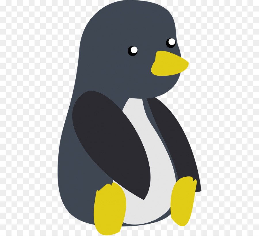 Pingüino，Pájaro PNG