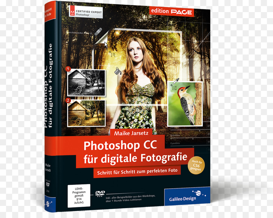 Photoshop Cc Pour Pc Et Mac，Adobe Indesign PNG