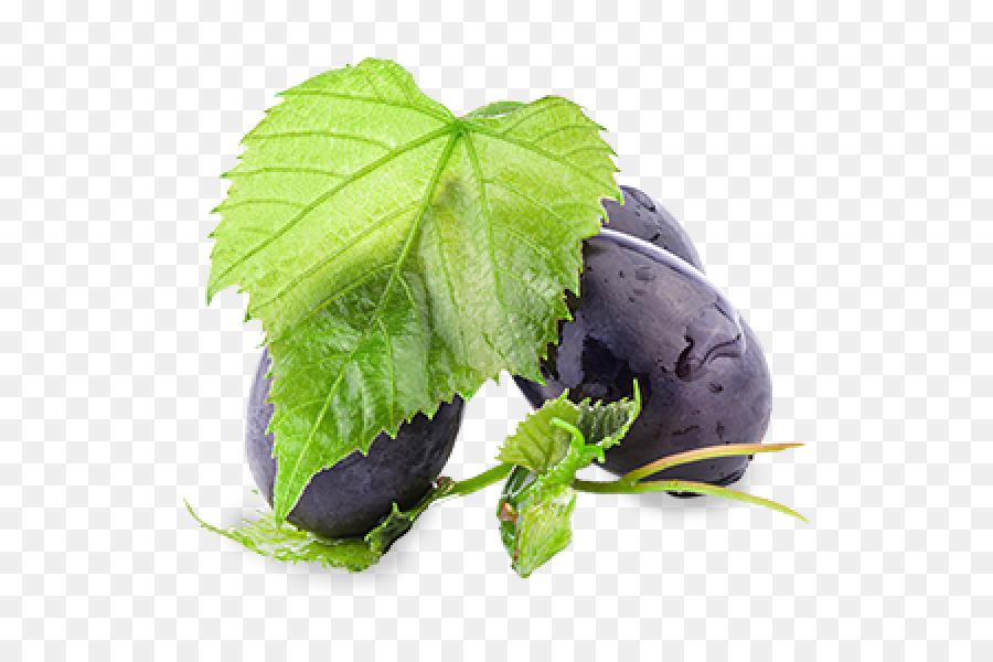 Vine De Uva Común，Vino PNG