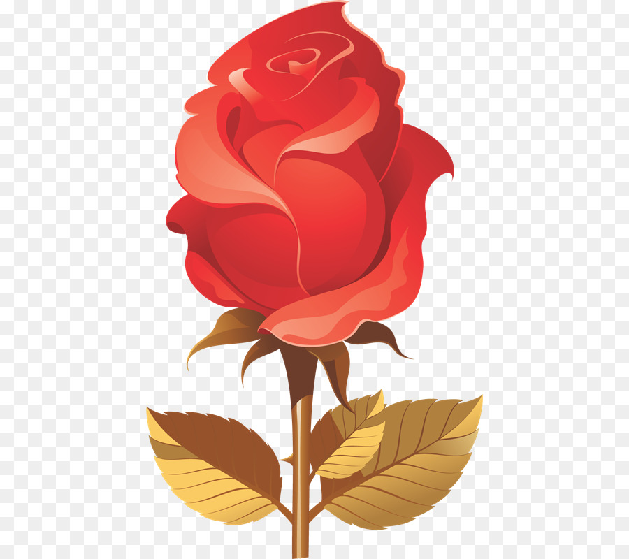 Rosa，Rojo PNG