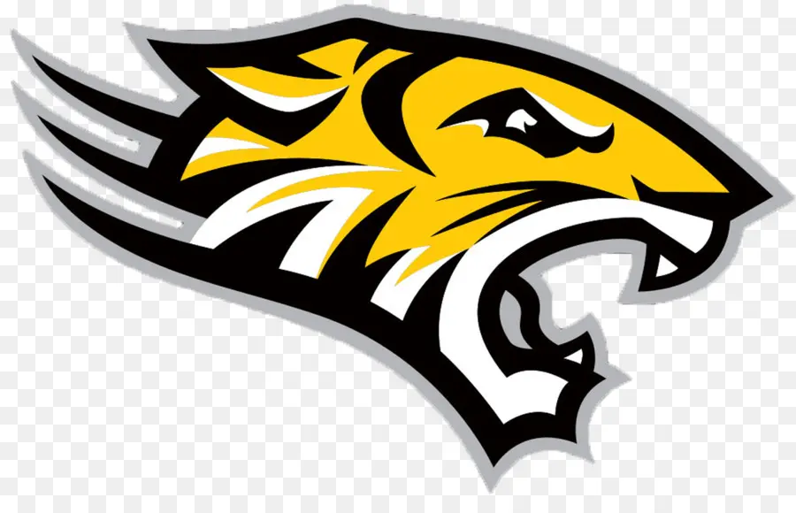 Universidad De Towson，Fútbol De Towson Tigers PNG