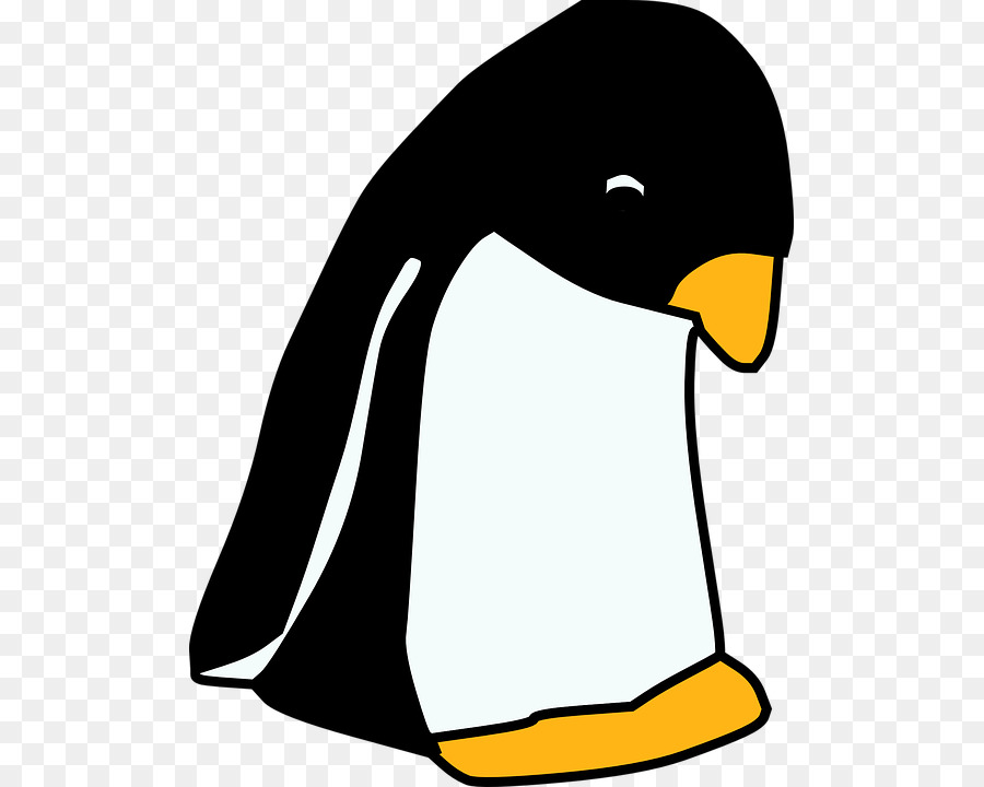 Pingüino，Dibujo PNG