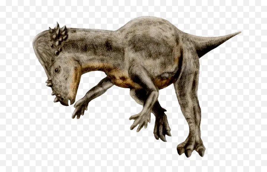 Pachycephalosaurus，Evento De Extinción De Cretaceouspaleogene PNG