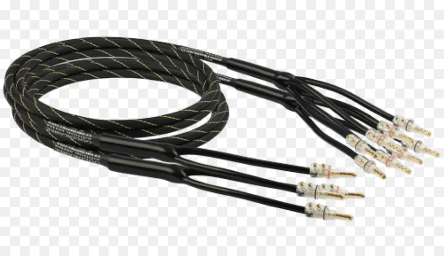 Cable Coaxial，Biwiring PNG