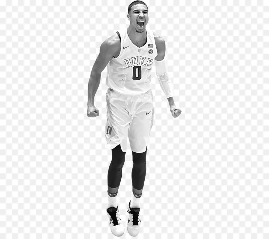 Jayson Tatum，Celtas De Boston PNG