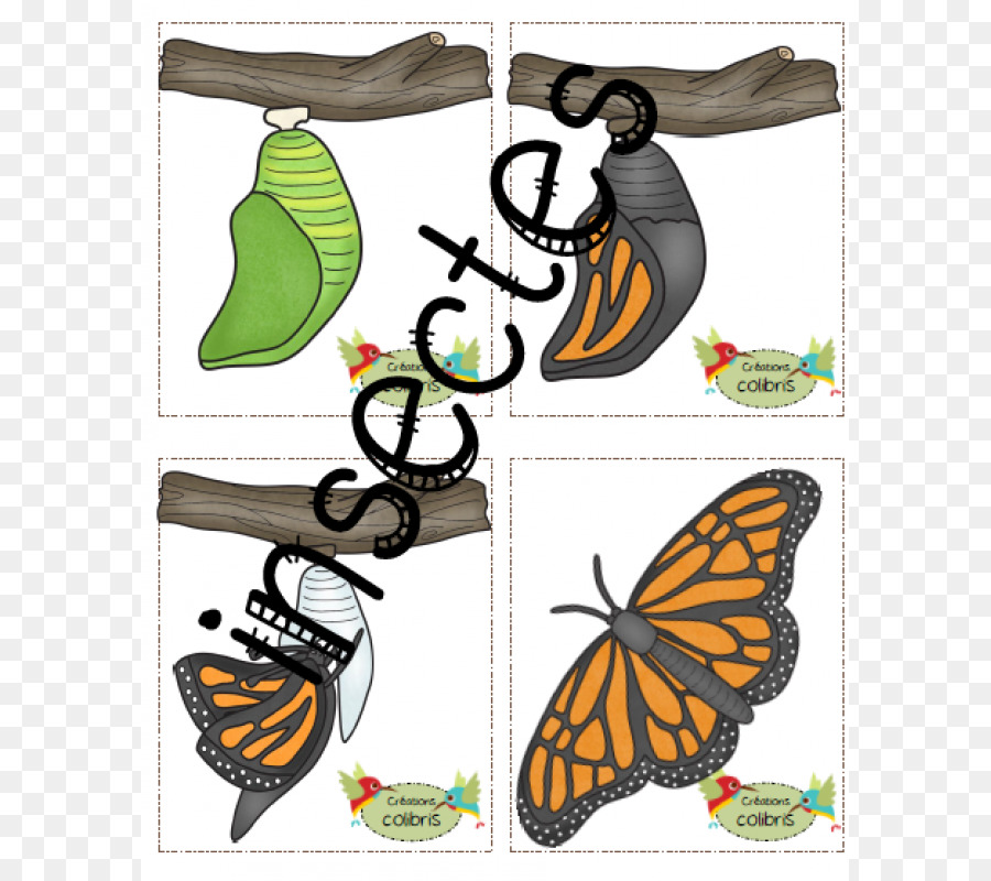 Mariposa Monarca，Mariposas Con Pincel PNG