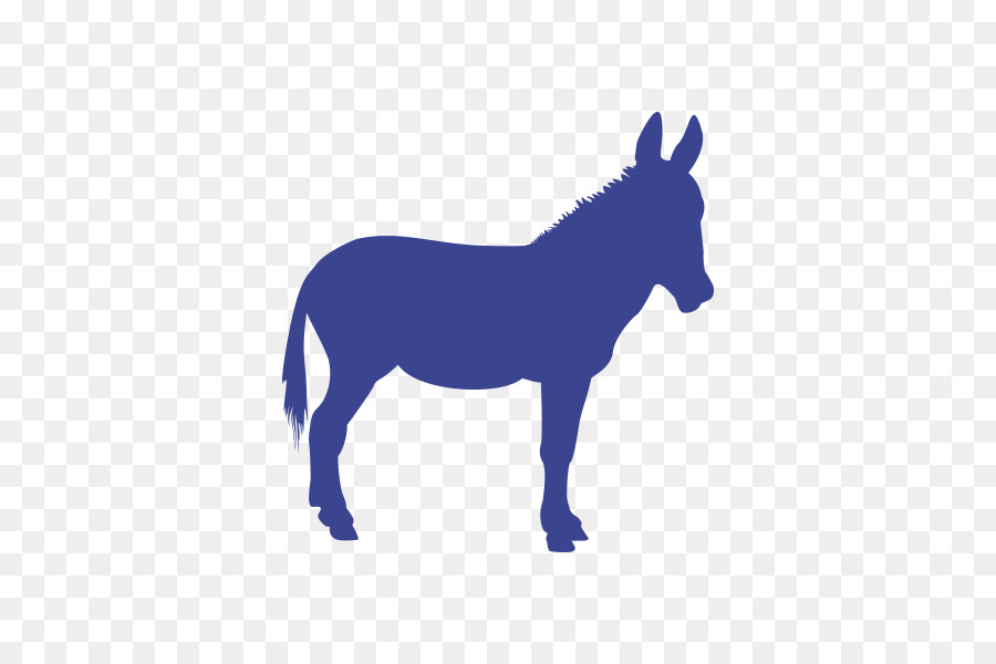 Camiseta，Burro PNG