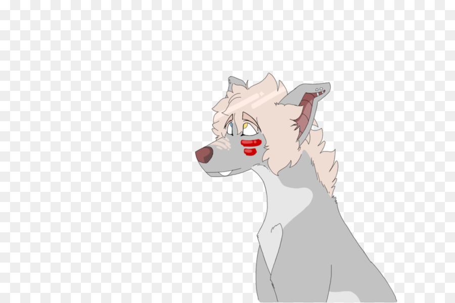 Gato，Caballo PNG