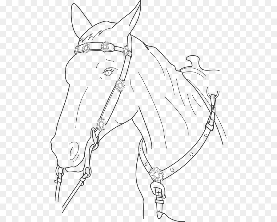 Caballo，Animal PNG