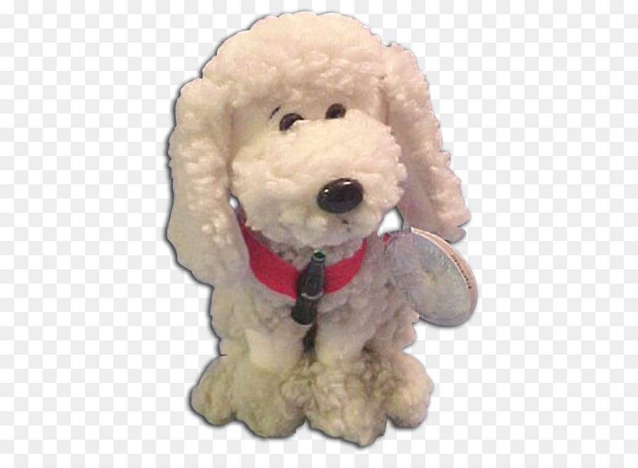 Caniche Estándar，Poodle De Juguete PNG