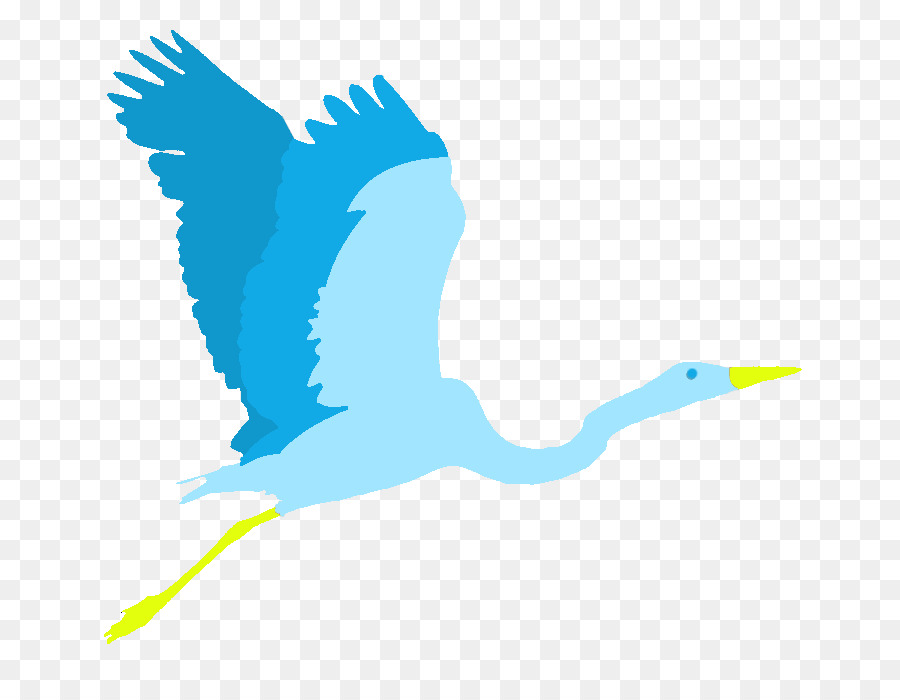 Pájaro Blanco，Animal PNG