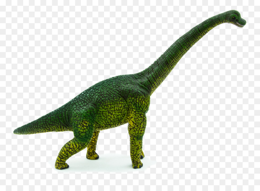 Brachiosaurio，Estegosaurio PNG