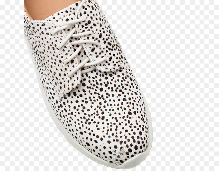 Zapato，Zapatillas De Deporte PNG