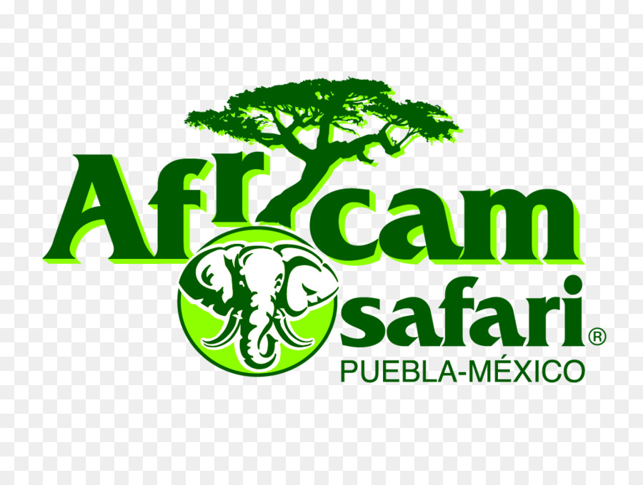 Safari Africano，Logo PNG