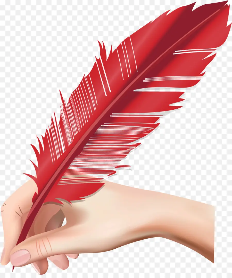 Pluma，Papel PNG