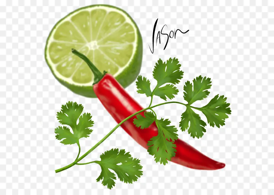 Cilantro，Perejil PNG