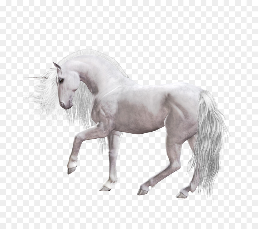 Unicornio Blanco，Fantasía PNG