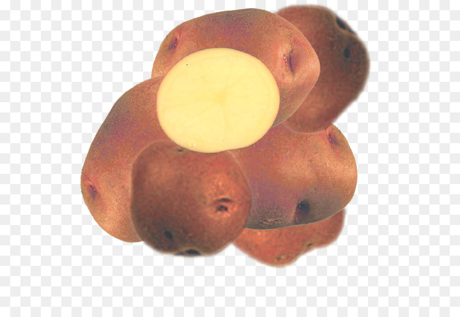 Vegetales De Raíz，Raíz PNG