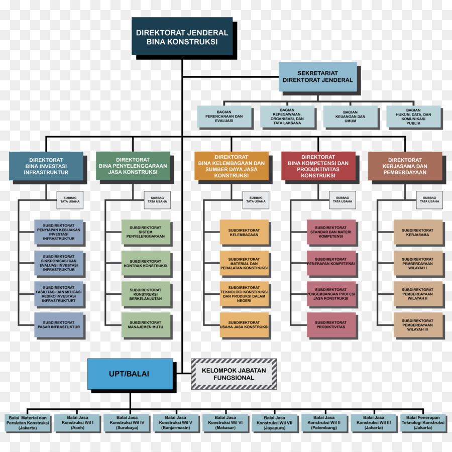 Estructura Organizativa，Organización PNG