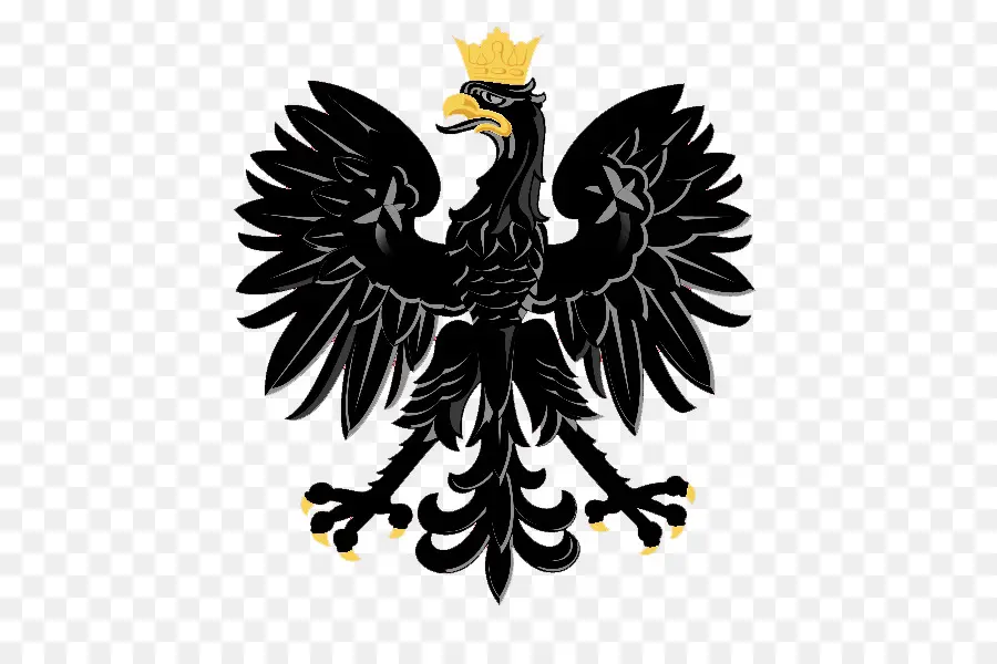 Polonia，Escudo De Armas De Polonia PNG