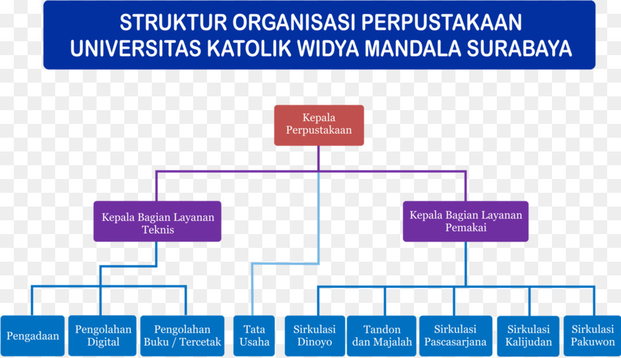 Universidad Católica De Widya Mandala，Organización PNG