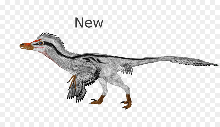 Pato，Velociraptor PNG