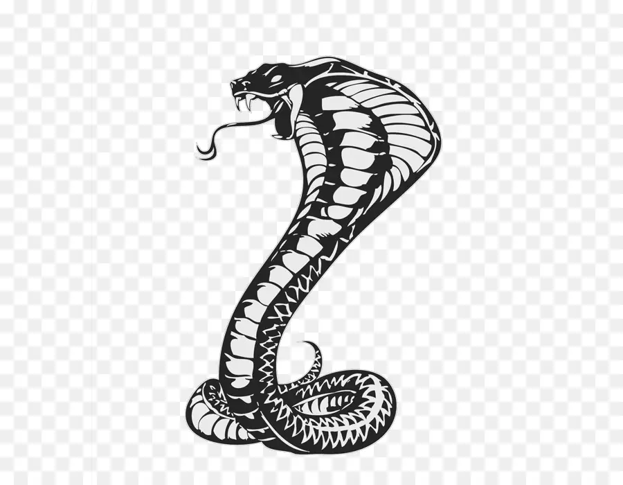 Serpiente，Dibujo PNG