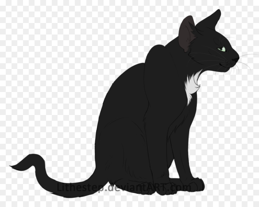 Gato Negro，Gatito PNG