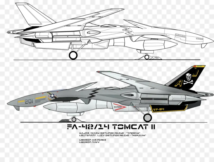 Fa 42 14 Tomcat Ii，Avión De Combate PNG