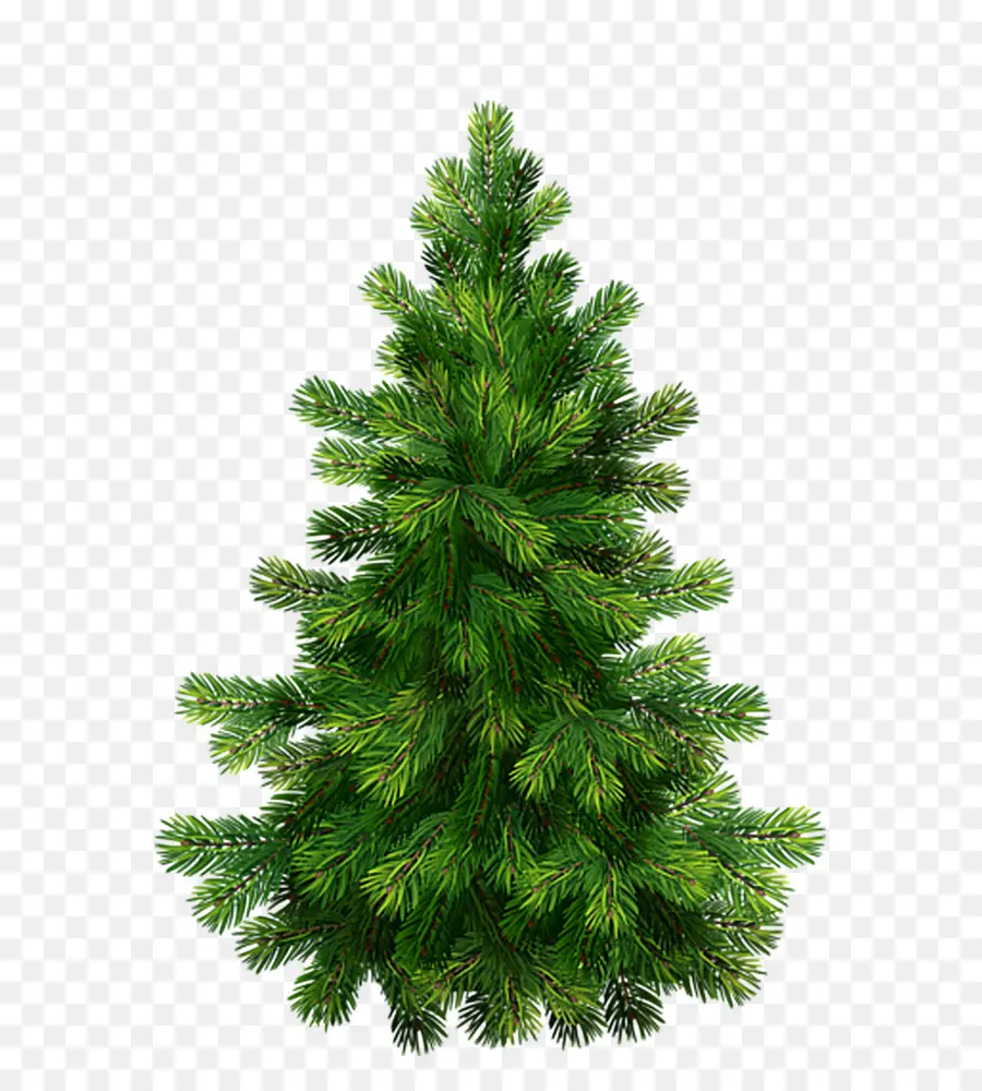 Árbol De Navidad，Día Festivo PNG