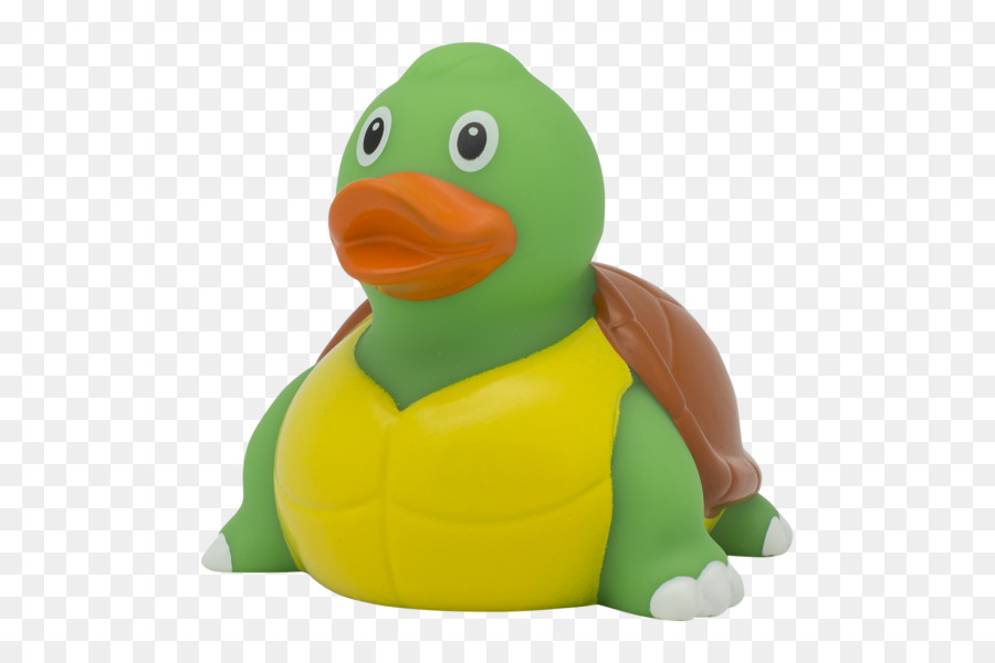 Pato，Tortuga PNG