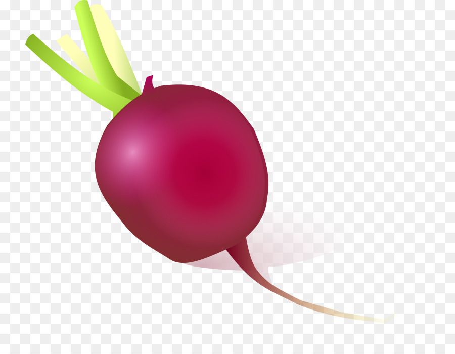 Cocina Vegetariana，Daikon PNG