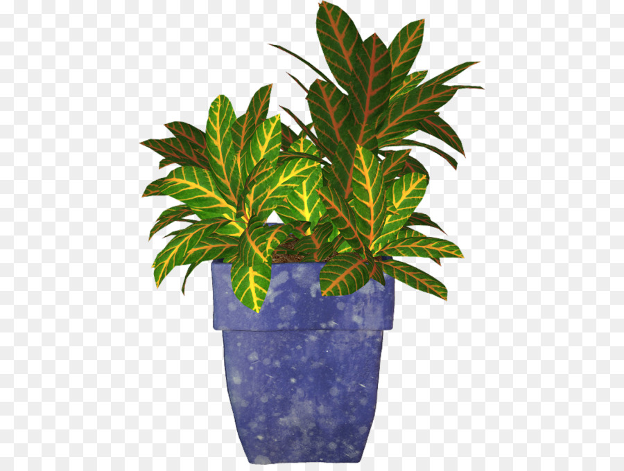 Maceta，Plantas PNG