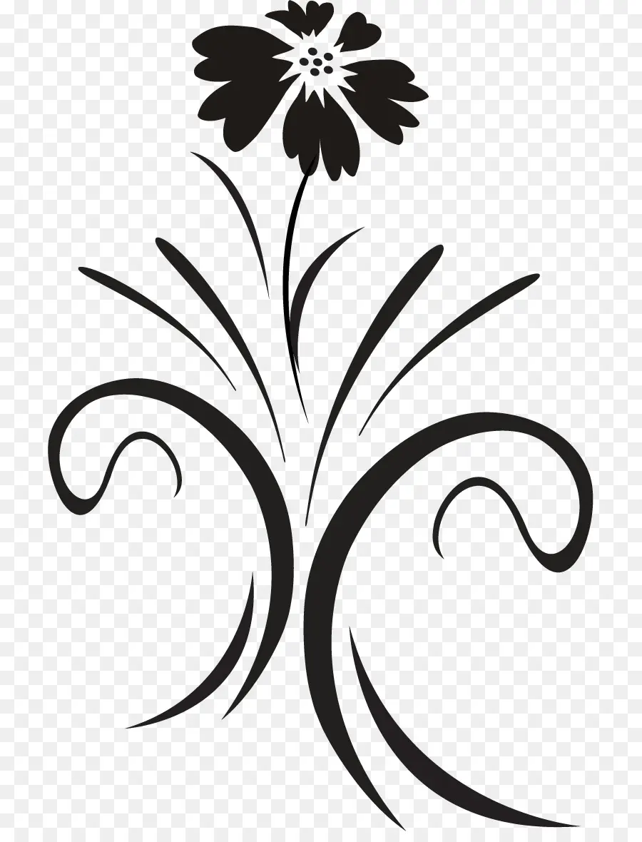 Diseño Floral，En Blanco Y Negro PNG