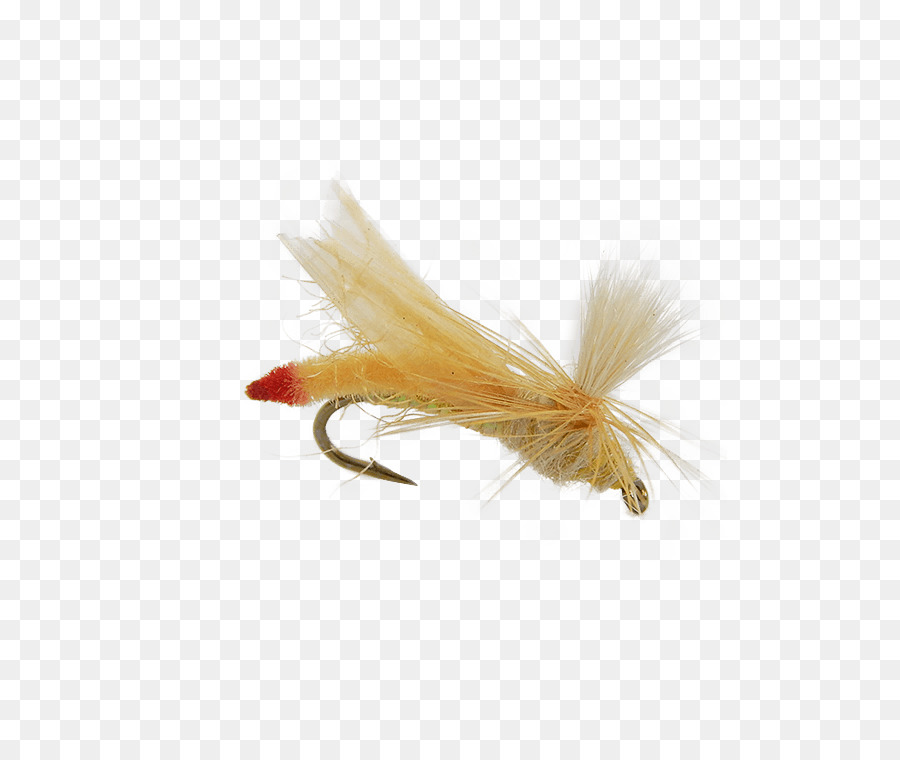 Pluma，Penacho PNG