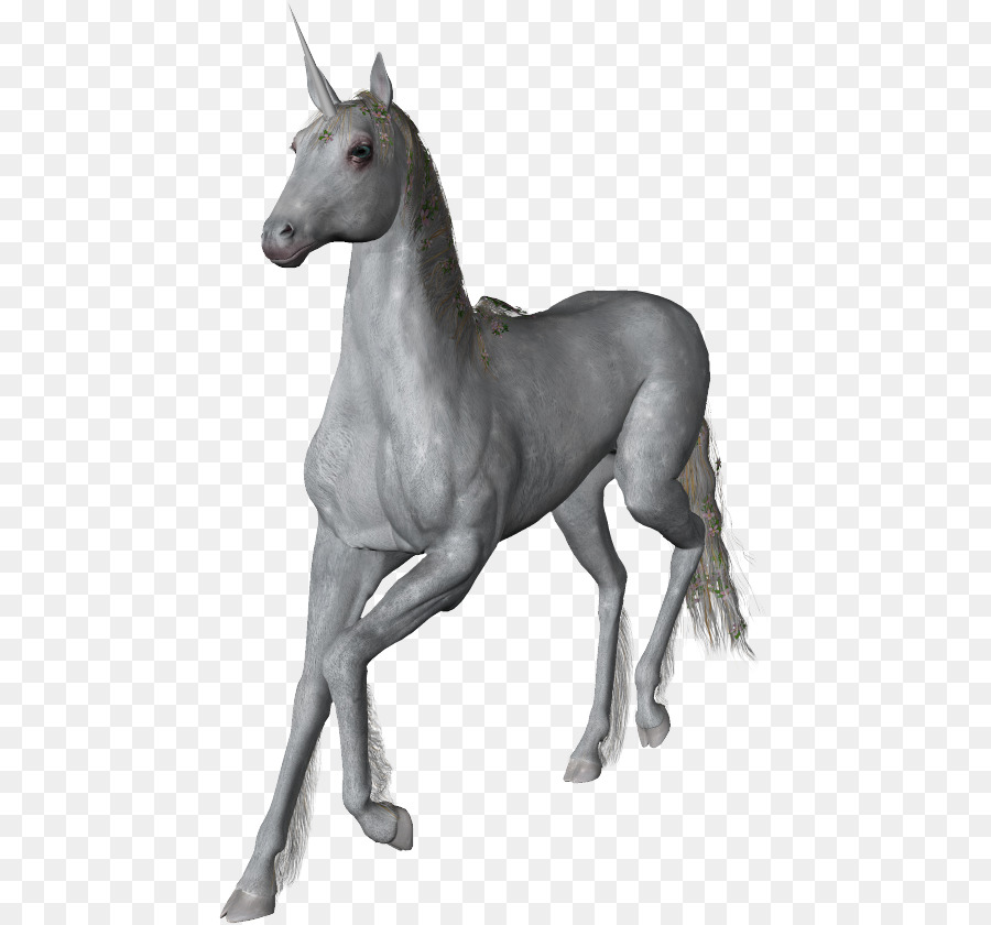 Unicornio，Semental PNG