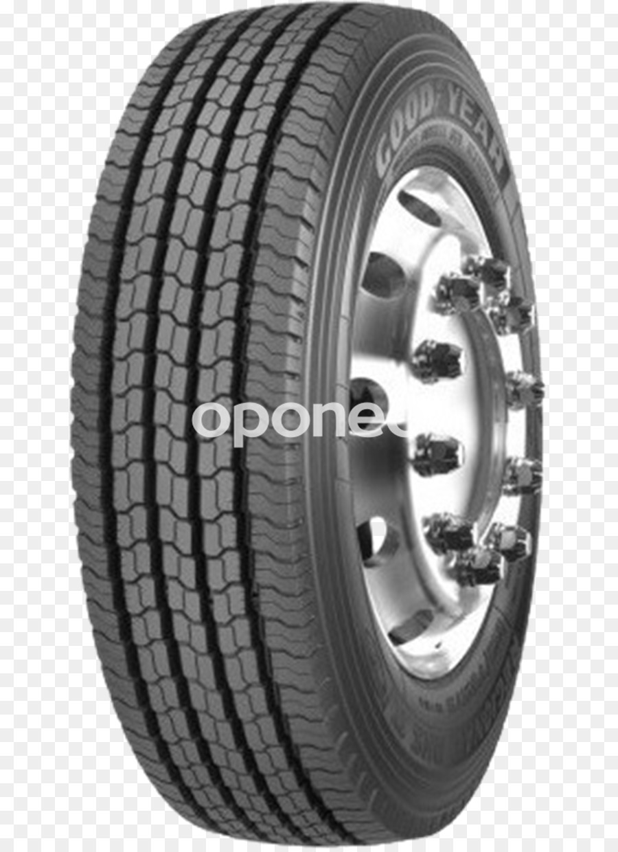 Neumático，Neumáticos De Sava Dunlop Dunlop PNG
