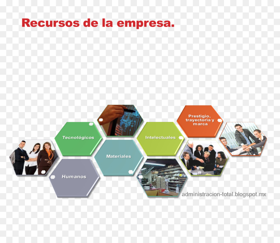 Administración De Empresas，Recurso PNG