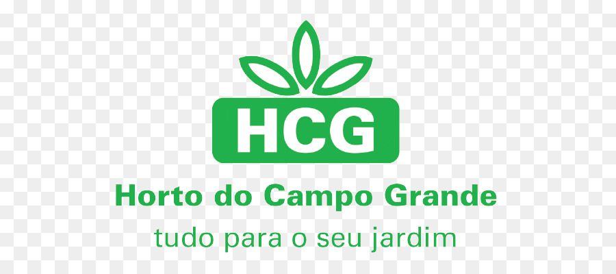 Pronto，Campo PNG