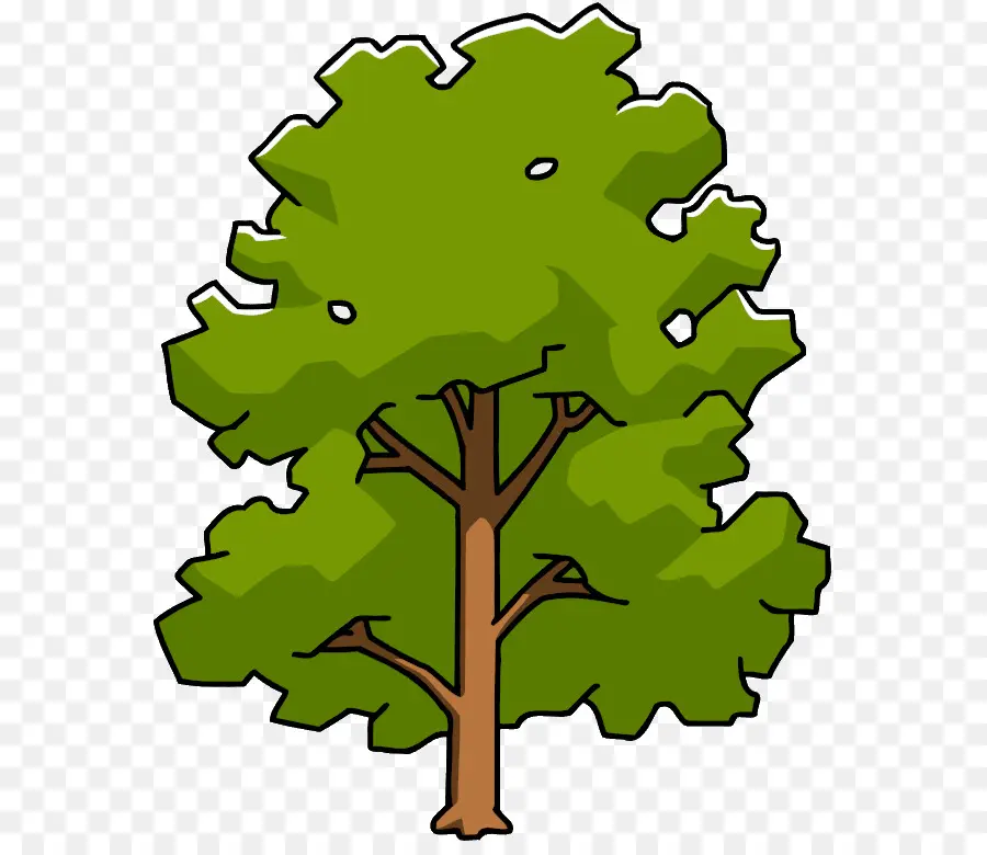 árbol Verde，Bosque PNG