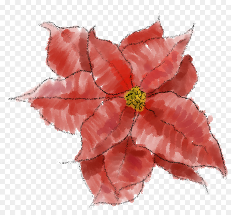 Flor，Rojo PNG