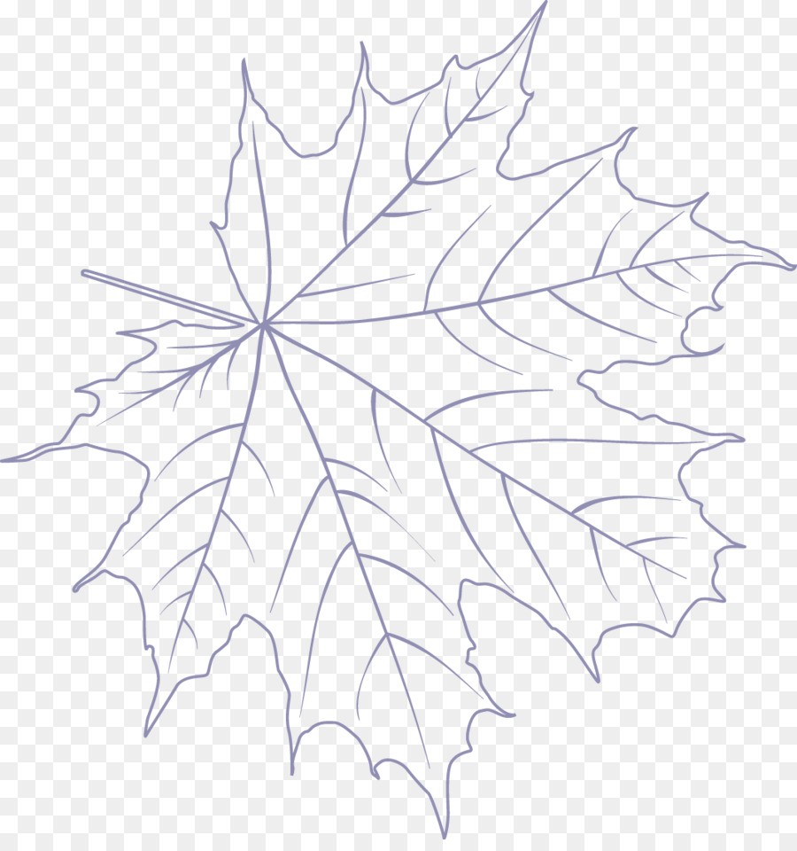 Hoja De Arce，Dibujo PNG