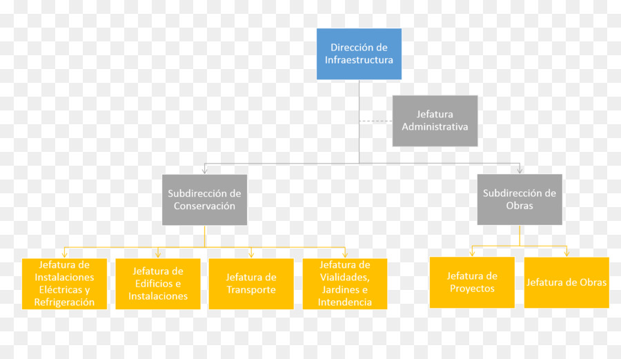 Organigrama，Organización PNG
